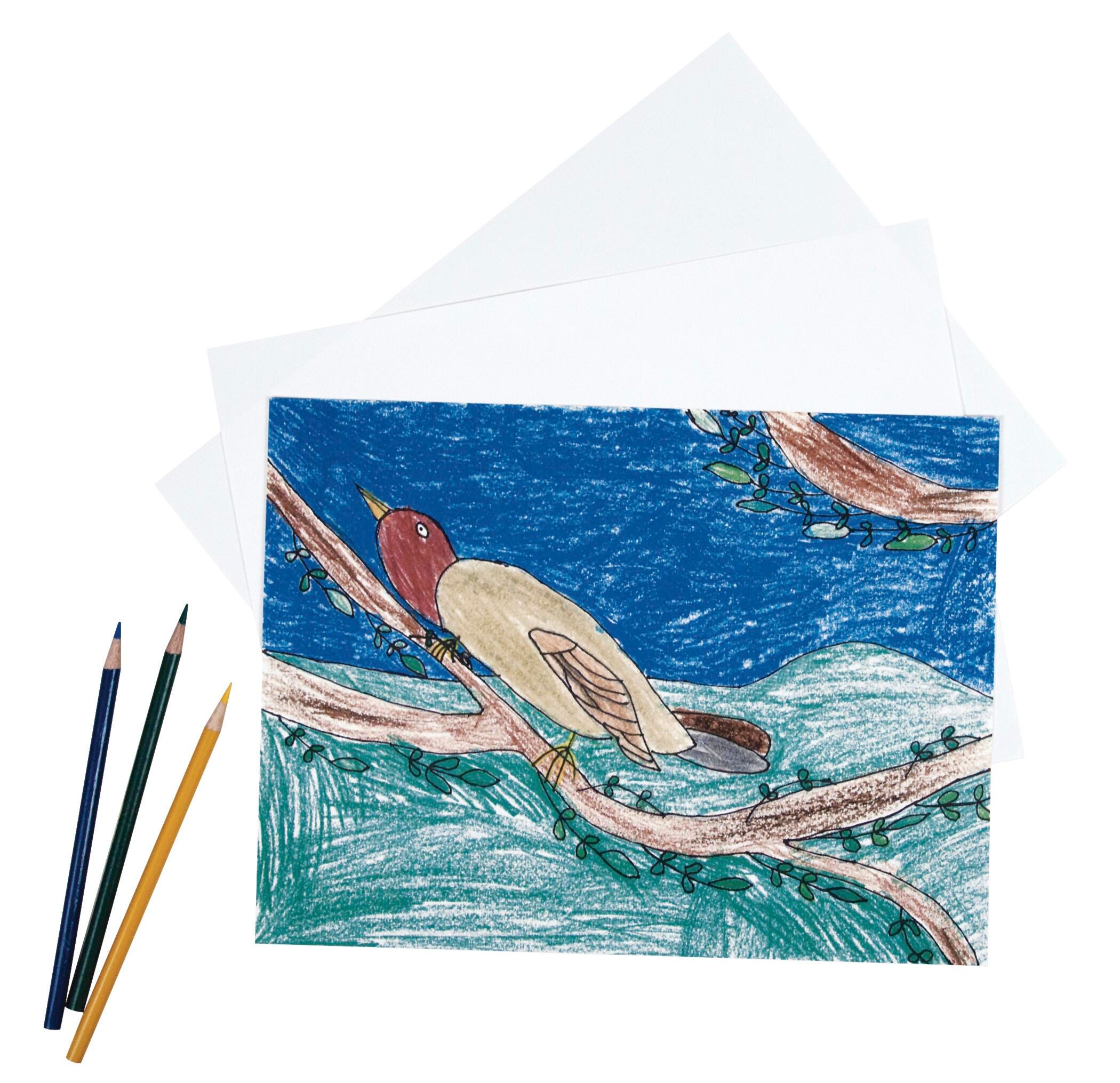 Amazon.com: Pacon Drawing Paper, White, Standard Weight, 9